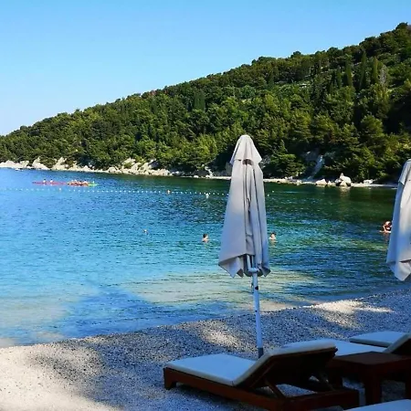 Dragi - Adults Only * سبليت