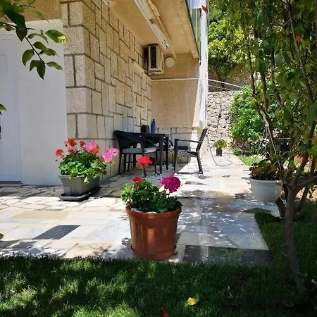 Dragi - Adults Only سبليت